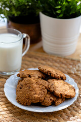Chocolate cookies  with glass of milk