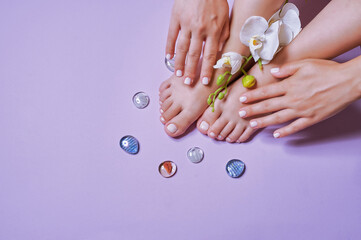 hands and feet with a beautiful manicure and pedicure and orchid on a lilac background with glass pebbles. beautiful hand and foot care