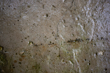 Cement wall concrete texture wet after rain old and dirty