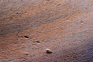 wood cut texture macro