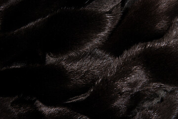 Black fur background. Black fur texture