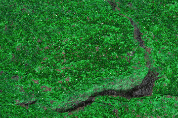 Rare mineral garnet green, macro. 