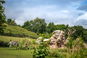 nature landscape rock lion head in the safari park with zebra