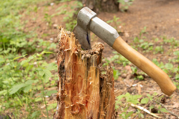 The ax is stabbed with a blade into the stump. Ax with wooden handle.