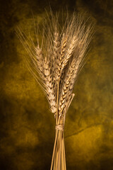 Wheat  spike on vintage yellow background