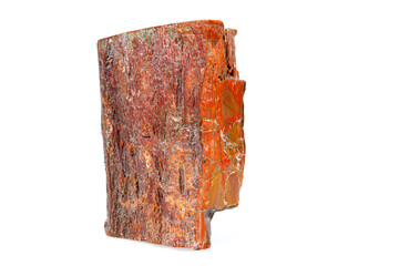macro stone mineral petrified wood on a white background