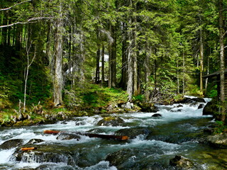 Austrian Alps-view on the stream Untertalbach