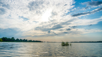 a river landscape. green trees