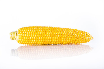 Maize isolated on white background