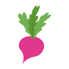 beet vegetable fresh nutrition food isolated icon design