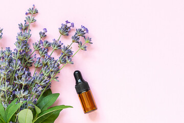 Organic anti age serum in the bottle and bouquet of fresh aromatic lavender on pink background with...