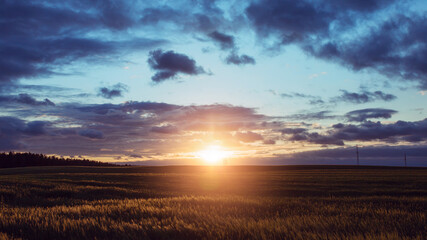 Fototapeta na wymiar The bright light of the setting sun over the field - an impressive colorful sunset