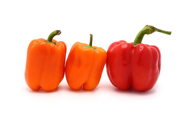 Two red and two orange ripe sweet peppers on a light background. Natural product. Natural color. Close-up.