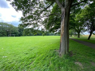 Football field, with old trees, grass, and  goalposts in, Northcliffe Park, Bradford, UK
