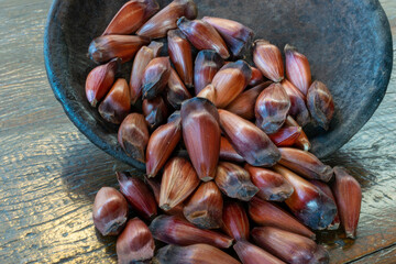 Araucaria seed pinion, traditional Brazilian food.