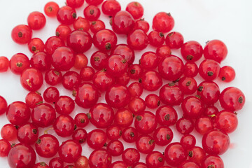 a portion of red ribes