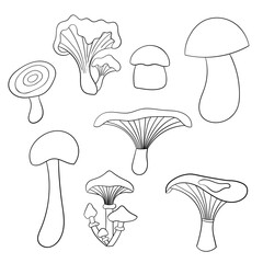 Set with mushrooms, coloring page