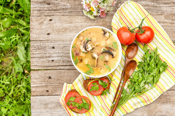 Mushroom soup and sandwiches with tomatoes and herbs. Vegetarian al fresco lunch, top view.