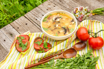 Potato soup with mushrooms and croutons and vegetarian sandwiches. Delicious vegetarian al fresco lunch with soup and sandwiches.