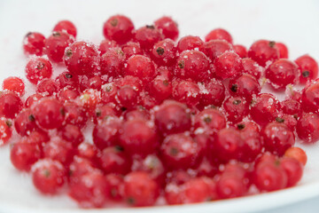 a portion of red ribes
