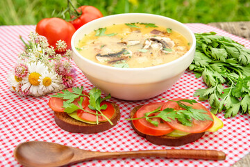 Mushroom vegetarian soup. Summer lunch with soup, tomatoes, bread, herbs in the fresh air.