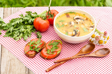 Mushroom vegetarian soup and sandwiches with tomato and herbs for a summer lunch in the open air.