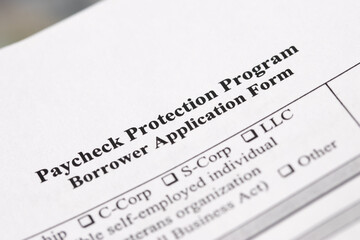 Paycheck Protection Program Borrower Application Form
