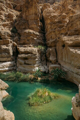desert oasis