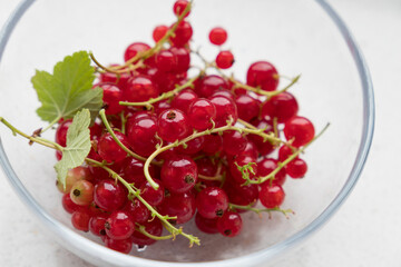 a portion of red ribes
