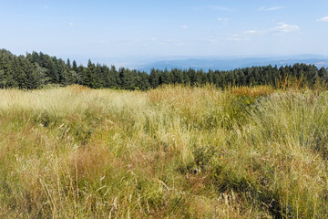 Autumn landscape of Vitosha Mountain, Bulgaria