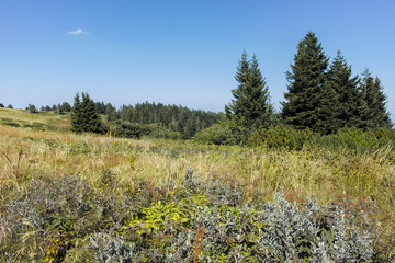 Autumn landscape of Vitosha Mountain, Bulgaria