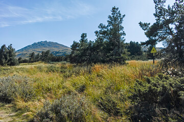 Obraz premium Autumn landscape of Vitosha Mountain, Bulgaria