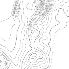 Contour topographic map. Geographic grid map background. Vector illustration.