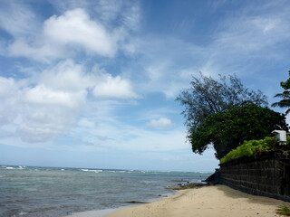 Beach with trees along a shore wall