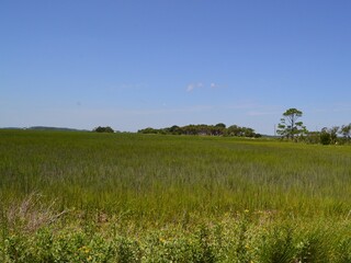 Folly Beach