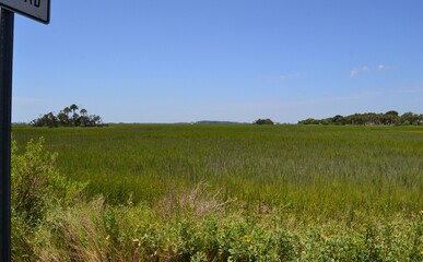 Folly Beach