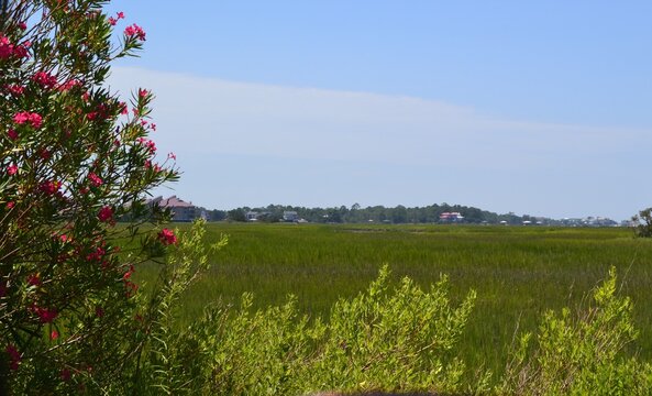 Folly Beach