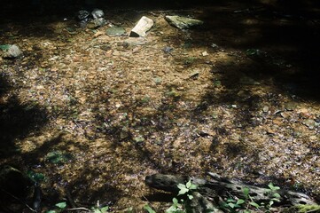 Stream in the mountains