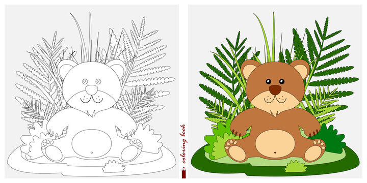 Black and white and color images for a color book. Contour drawing with children's themes. A bear cub is sitting in a clearing among reeds and ferns. For color books, children's prints, postcards