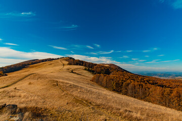 autumn mountain forest landscape September clear weather day time aerial nature photography in Carpathian region Ukraine