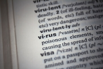 Definition and meaning text of the word Virus in an English dictionary 