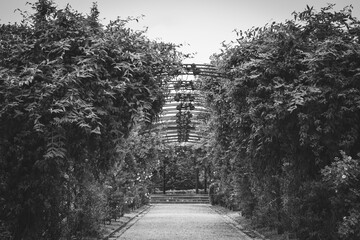 Des jardins luxuriant en noir et blanc