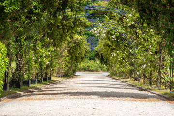 Des jardins luxuriant