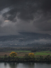 Paisaje Niebla 