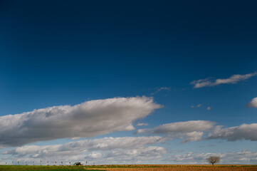 Campo Castilla