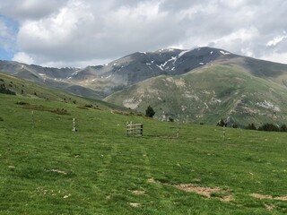 Fototapeta na wymiar alpine meadow in the alps