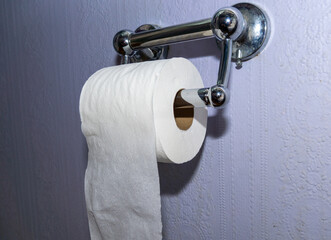 Toilet Paper on a fancy holder during the great toilet paper shortage of 2020