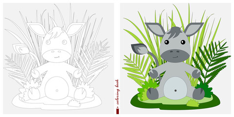 Black and white and color images for a color book. Contour drawing with children's themes. In a clearing among reeds and ferns sits a baby donkey. For color books, children's prints, postcards