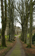 Small old church in the UK surrounded by trees