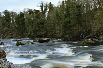 Forest river waterfall view in the UK. Wild river flowing through the forest. Forest wild river water flow. River stream water view